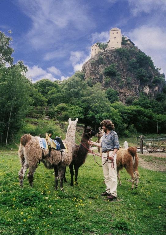 Pension Linserhof ナトゥルノ エクステリア 写真